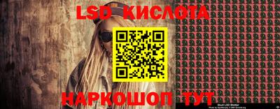 стафф Кингисепп