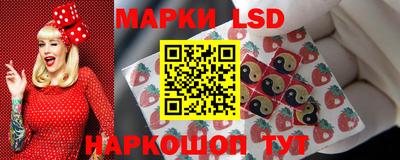 стафф Кингисепп