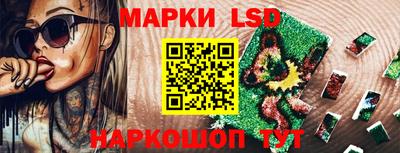 стафф Кингисепп