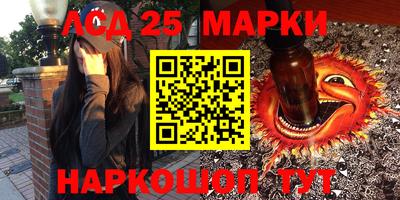 стафф Кингисепп