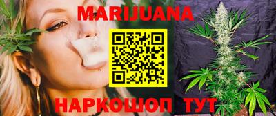 стафф Кингисепп