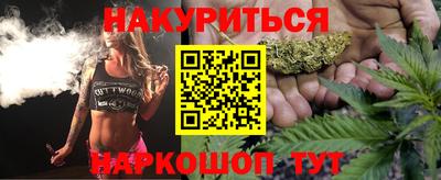 стафф Кингисепп