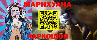 стафф Кингисепп