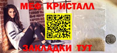 стафф Кингисепп