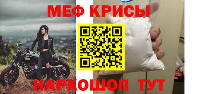 стафф Кингисепп