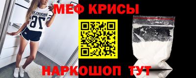 стафф Кингисепп